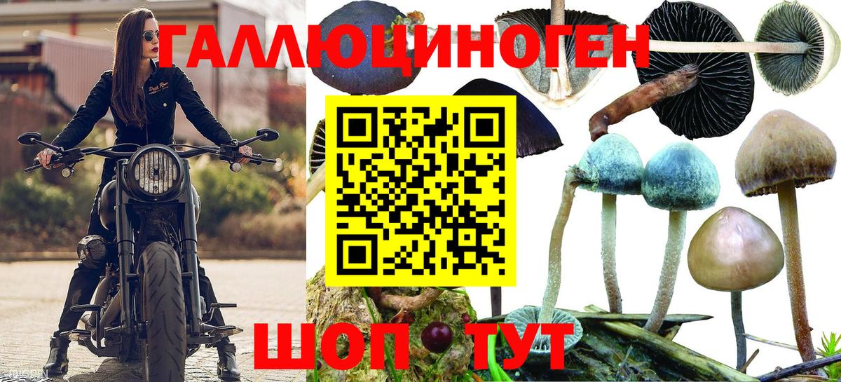 магазин продажи наркотиков  Вход с VPN  Соль-Илецк  Галлюциногенные грибы GOLDEN TEACHER 